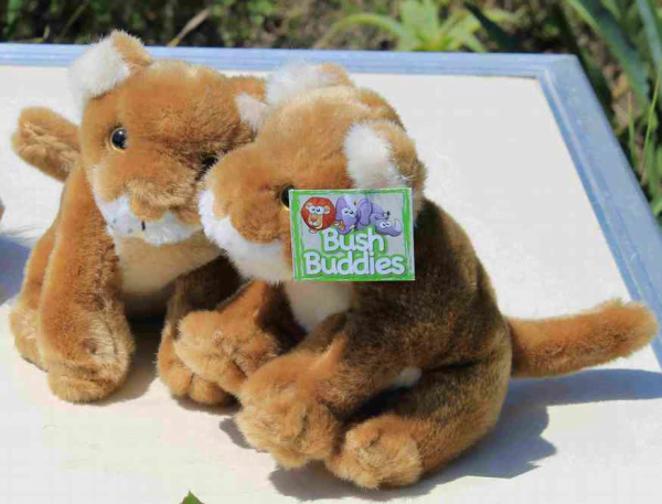 Lion Cub - Small Plush Toy