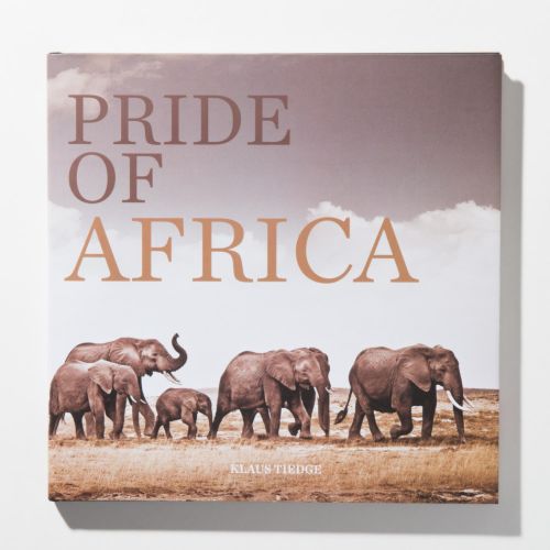 Pride Of Africa Elephant