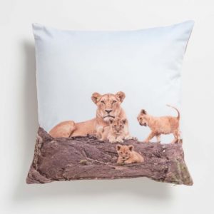 Cushion Covers - Wildlife Colour