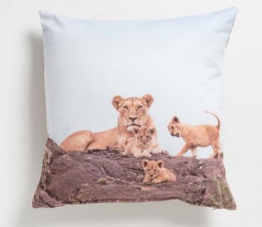 Cushion Covers - Wildlife Colour